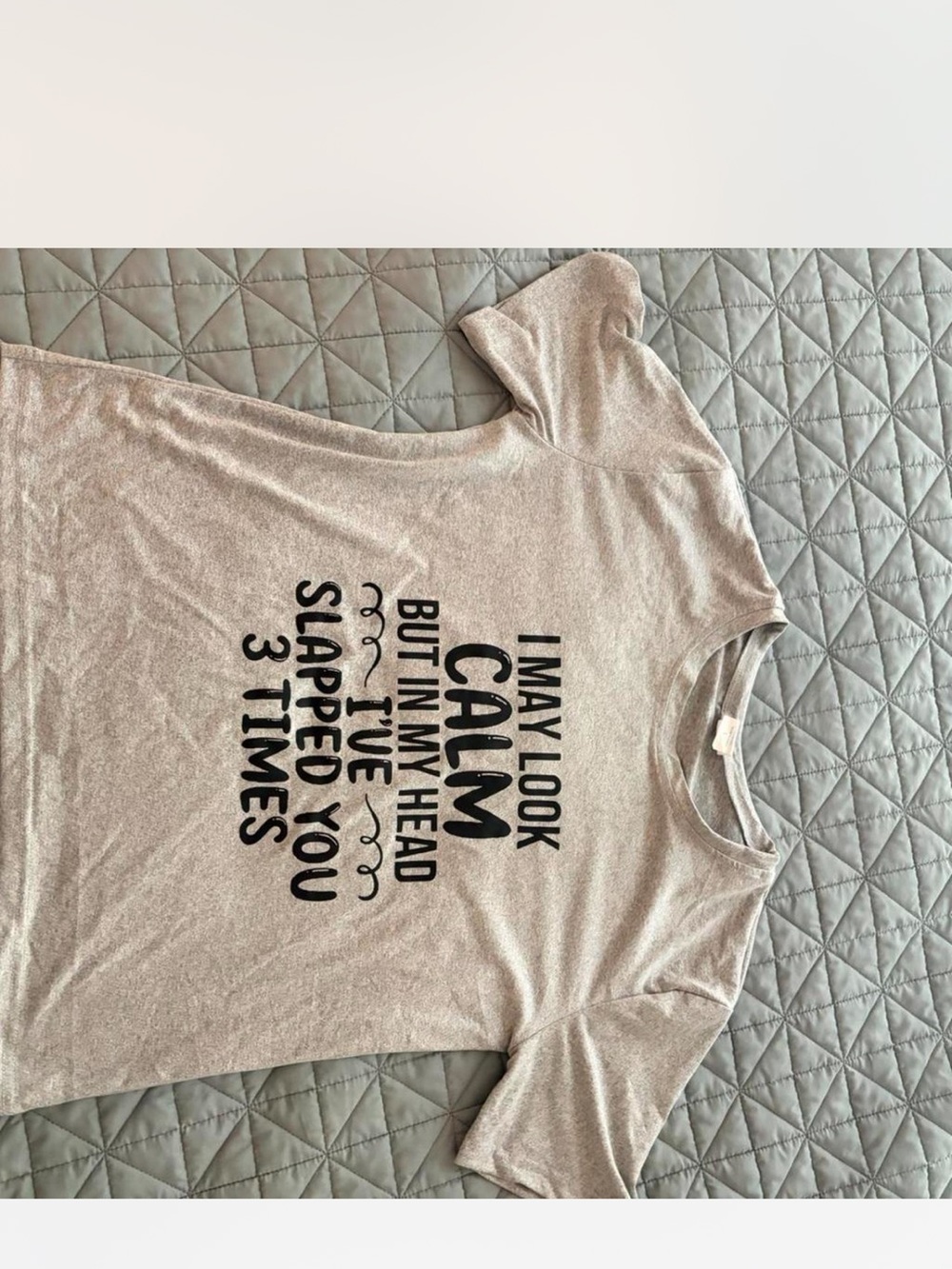 Graphic Tee - "I May Look Calm" - Light Beige